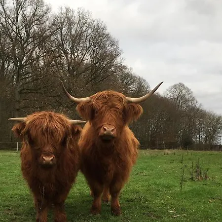 Le Rucher Bois-Normand-près-Lyre Exterior foto