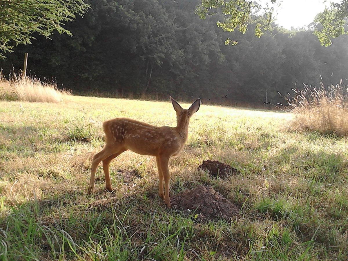Ferienhaus Le Rucher Bois-Normand-près-Lyre